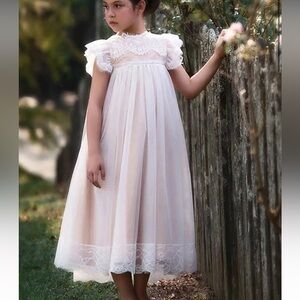 Trisch schully lace and nude gown size 6